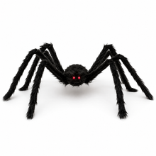 Riesenspinne