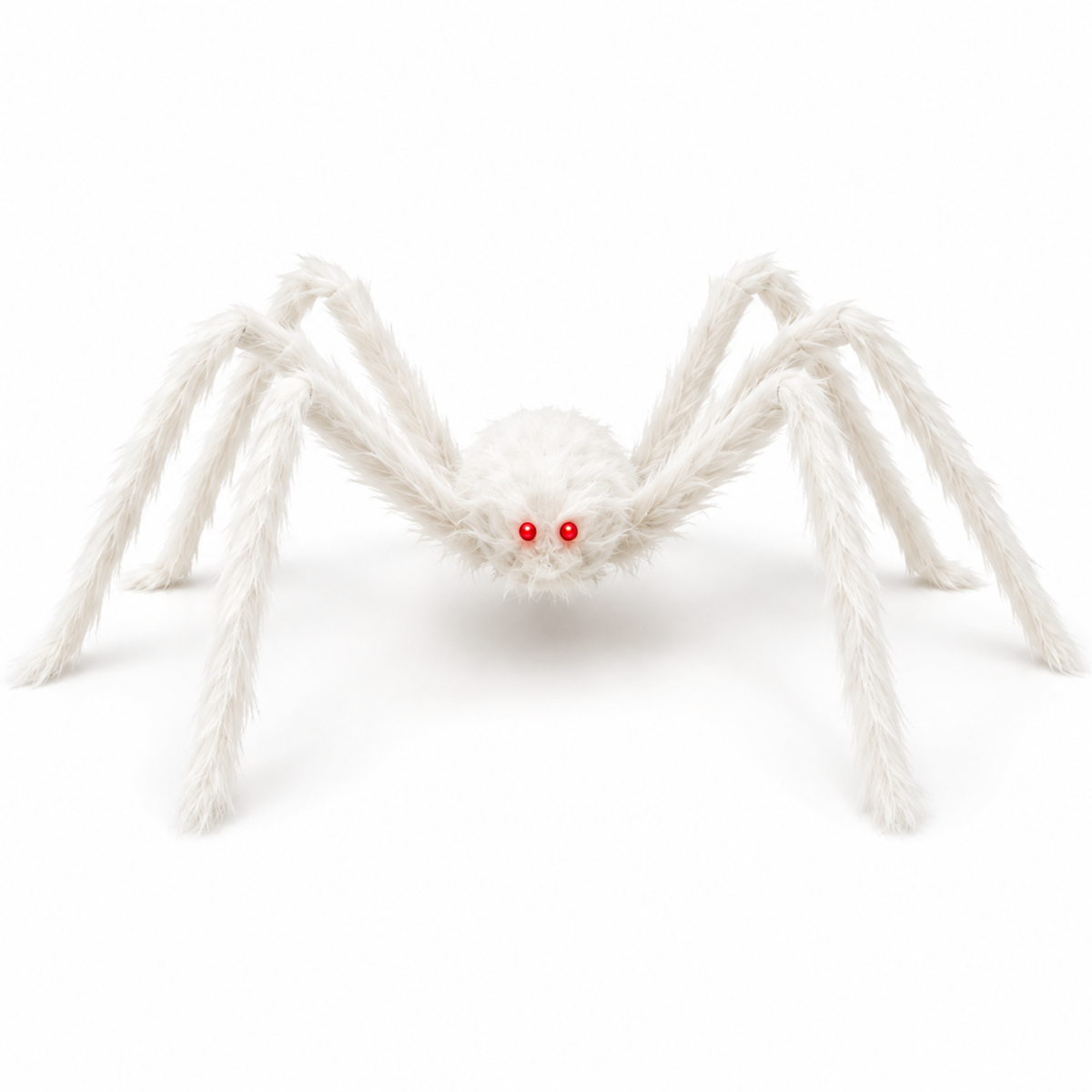 Riesenspinne