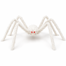 Riesenspinne