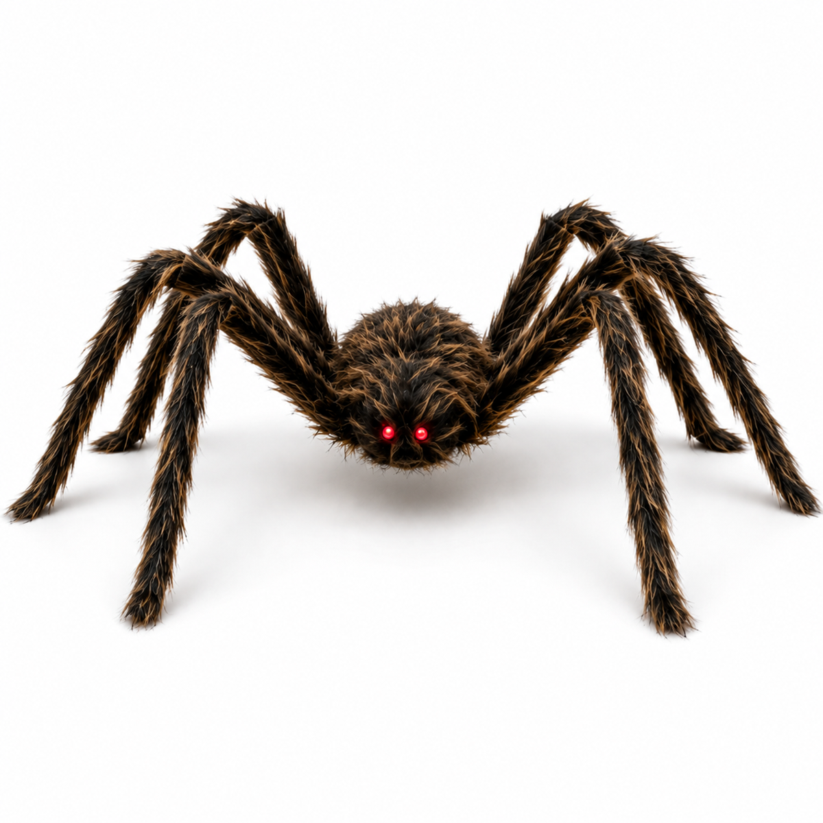 Riesenspinne