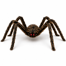 Riesenspinne