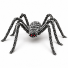 Riesenspinne